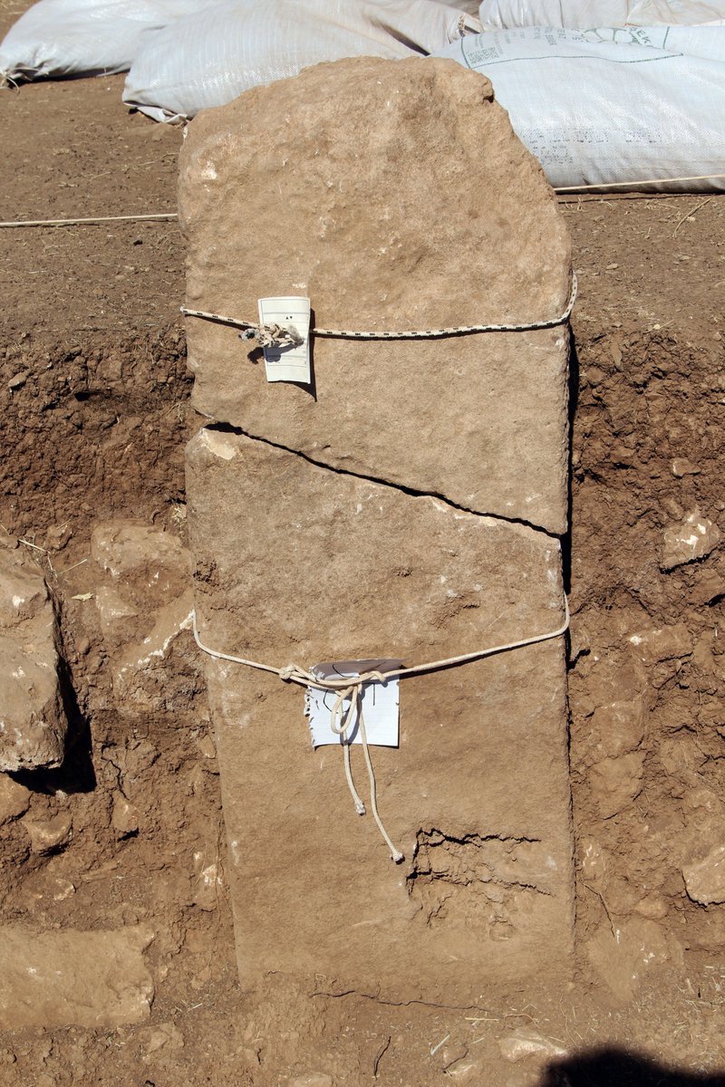 sefertepeproje's tweet photo. Sefertepe'21 #sefertepe #Viranşehir #Neolitik #PrePotteryNeolithic #neolithicpillar #Dikilitaş #ÇanakÇömleksizNeolitik #pillar https://t.co/c1v37uLvAJ