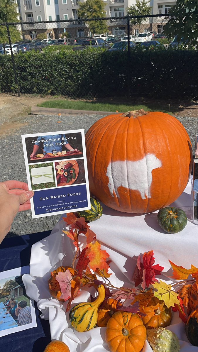 ltayara1's tweet photo. @Sustain_CLT got Sun Raised Foods out here! https://t.co/WQxwZRMXcy
