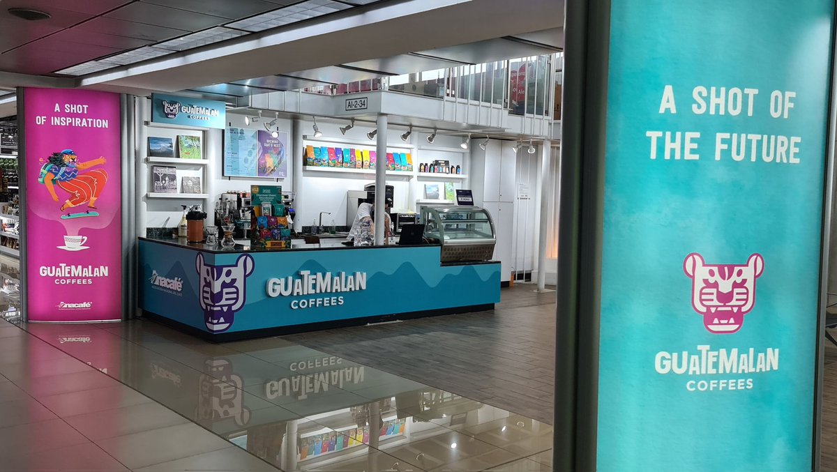 TriGabe's tweet photo. Felicidades al equipo de @CafedeGuatemala por la nueva y atinada imágen para promover y diferenciar nuestros cafes de Guatemala, de los mejores cafes del mundo 🇬🇹👏👏👏
#guatemalancoffee #BeyondExpectationsGT https://t.co/wAeO4RmZma