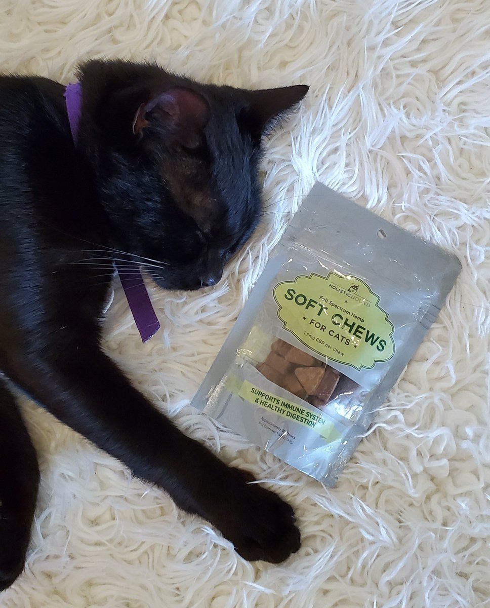 Sundays are for cat naps 🐱💤