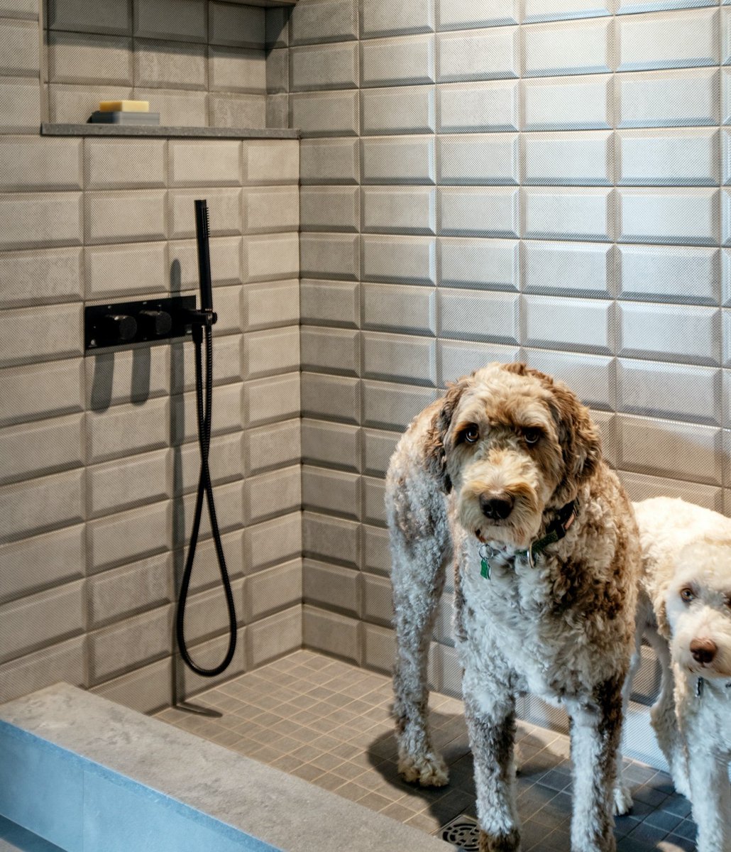 Us, dirty? No way. 
This home renovation in Tsawwassen included a washing station for these two troublemakers. 
<a href="/AlairDelta/">Alair Homes Delta</a> 
Design: @buro47architecture 
Photo: <a href="/PineconeCamp/">janis nicolay</a>