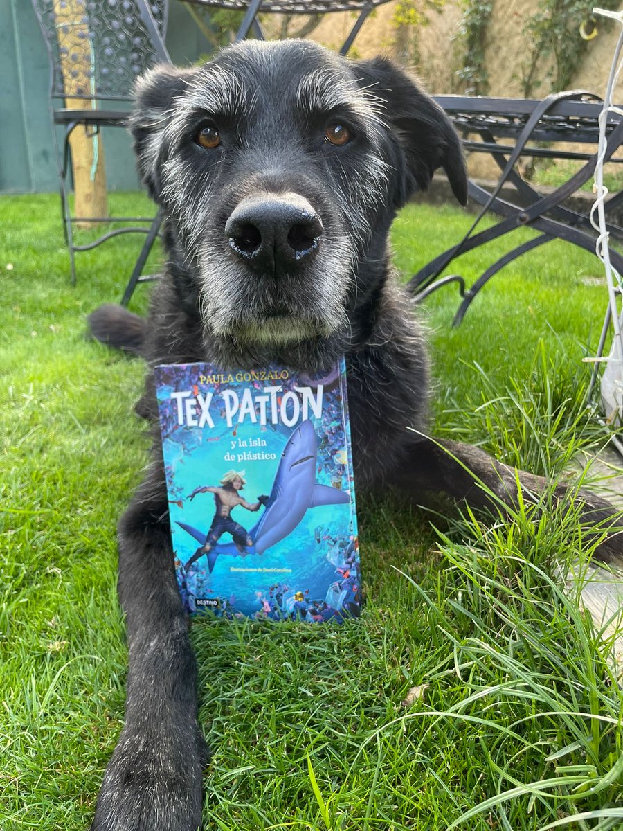 paula_g's tweet photo. Una sugerencia literaria para los más jóvenes en el #diainternacionalcontraelcambioclimatico 🌊🌎🐬#lij ⁦@Planetadelibros⁩ https://t.co/jhM0OUsZo9