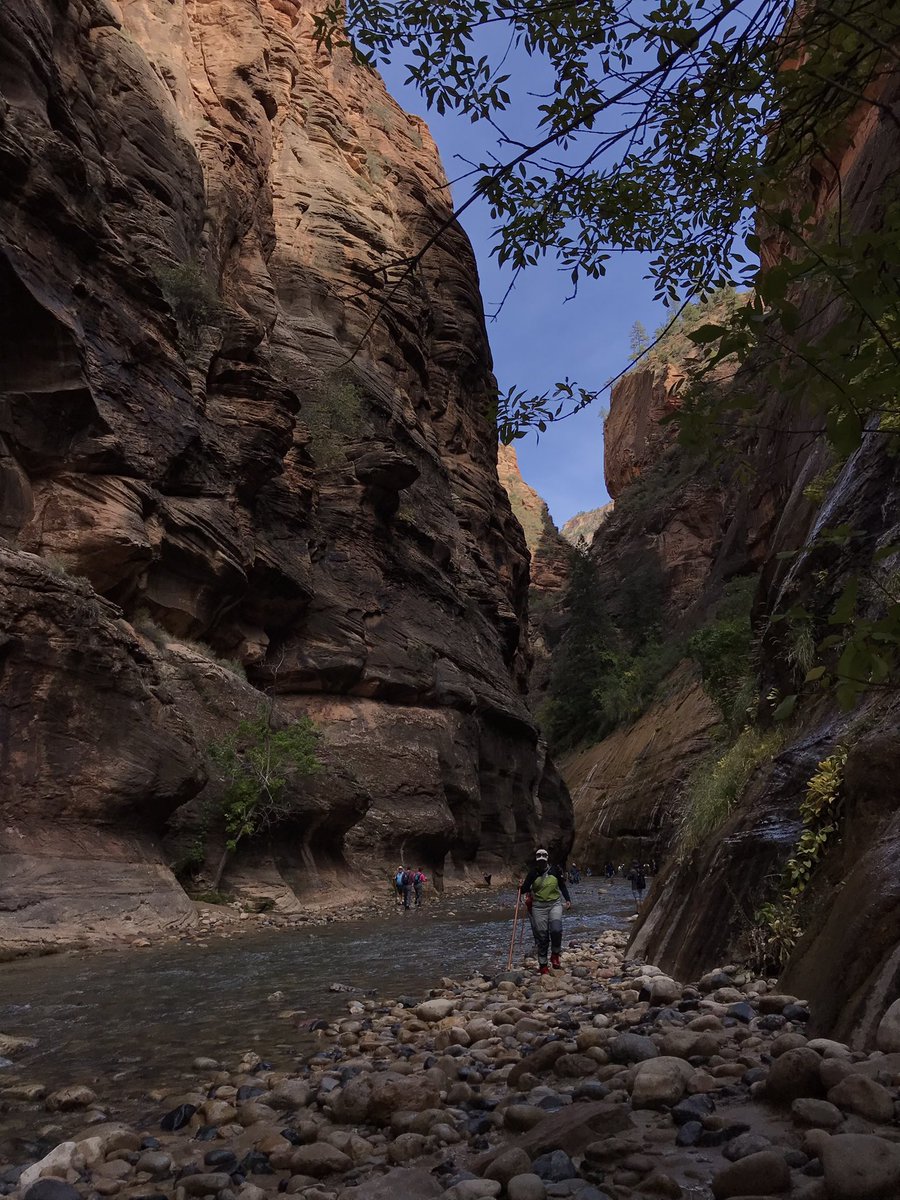 ProSteveKennedy's tweet photo. Since we didn’t get #wavehike permits, arrived midday @zionnps had time to hike a little way up #thenarrowszionnationalpark water temp 50° 🥶 @bass_nation @basscatboats @lowrancefishing @Power_Pole @lithiumpros #feeltherush @goxoutside @find_your_park https://t.co/86RjbmDxZc