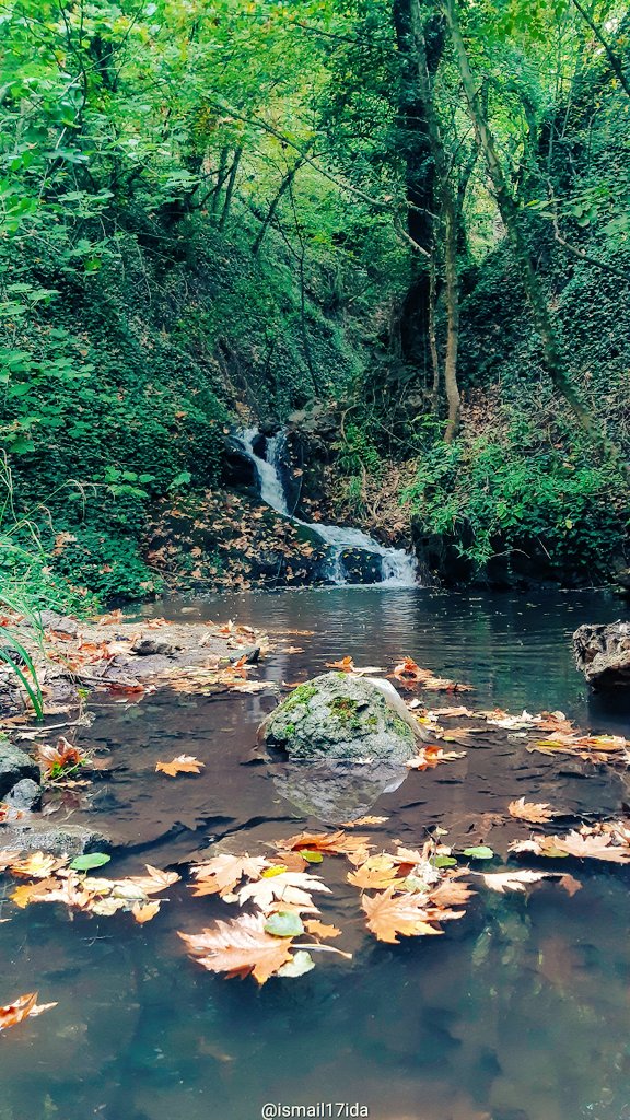 ismail17ida's tweet photo. Autumn 🍁 
#sonbahar #autum  #Kazdaglari #photos #naturephoto  #selale #Hıdırlar #kaplica #waterfall  #NaturePhotography #farklibak https://t.co/YXUuRTBu09