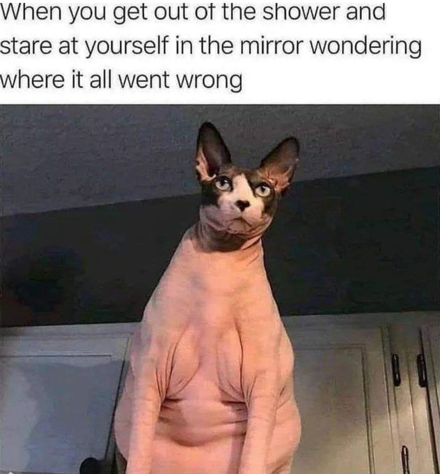 Relatable https://t.co/MzIKyfbeoV