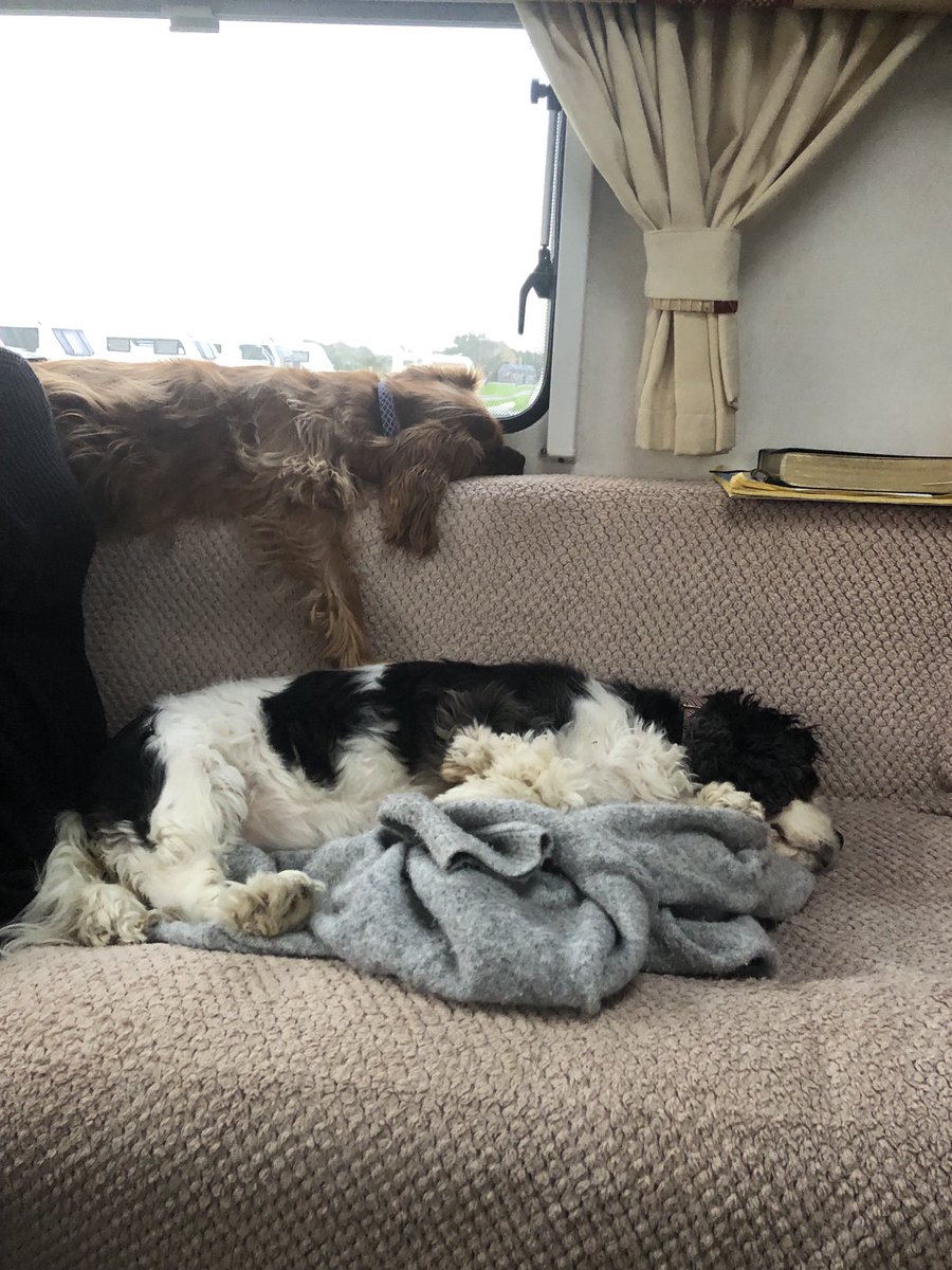 Asleep again and dreaming of chasing wabbits!