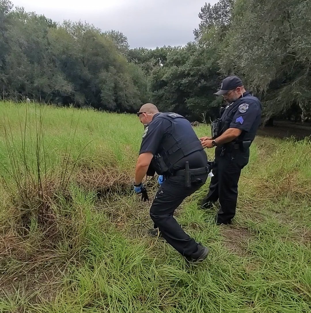 More Bones pictures from today.
North Port Police collected them for evidence.
These Bones were found within feet on Brian Laundrie's remains.
#GabbyPetito #BrianLaundrie
#Myakkahatchee #BigSlough