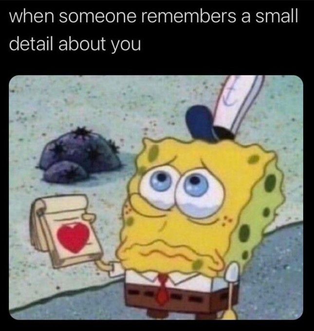 WholesomeMeme's tweet photo. https://t.co/S6TE3bGeq3