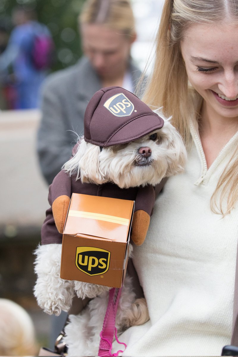 maximusupinNYc's tweet photo. Photos from the Tompkins Square Halloween Dog Parade #NYC https://t.co/j9vXRD6XaM