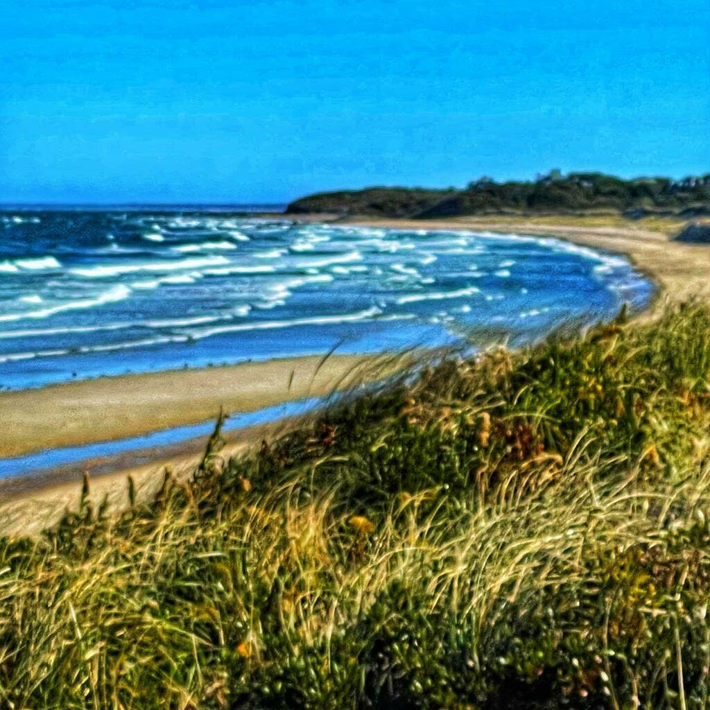 frankruel2's tweet photo. Blue sky Blue water kind of day #capecod #fallonthecape #notabeachday https://t.co/12rBxI8P1h https://t.co/UJ2RGVPSHH