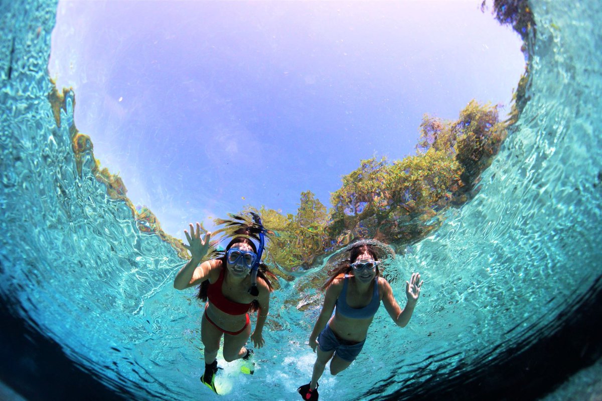 PlayHardFlorida's tweet photo. Wave if you spent your weekend at the springs!
#playhardflorida #howdoyouplay #protectwhereweplay #roamflorida #lovefl #florida #vacationflorida #TheWaterState #floridalife #exploremore #floridaliving #pureflorida #floridafun #floridavacation #getoutthere #adventurelife https://t.co/FsZRAT6nOB