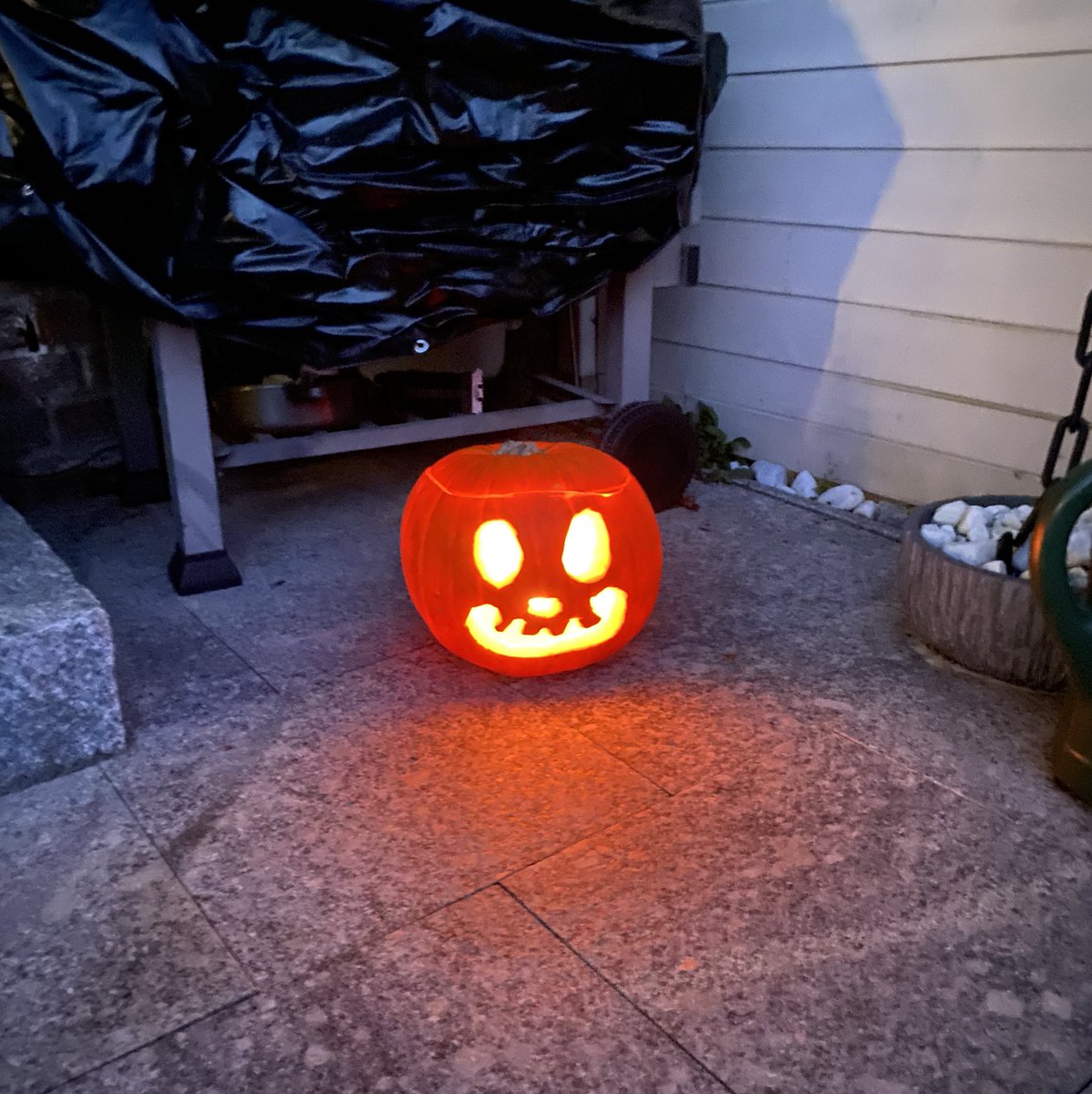Amy🧸 tweet media
