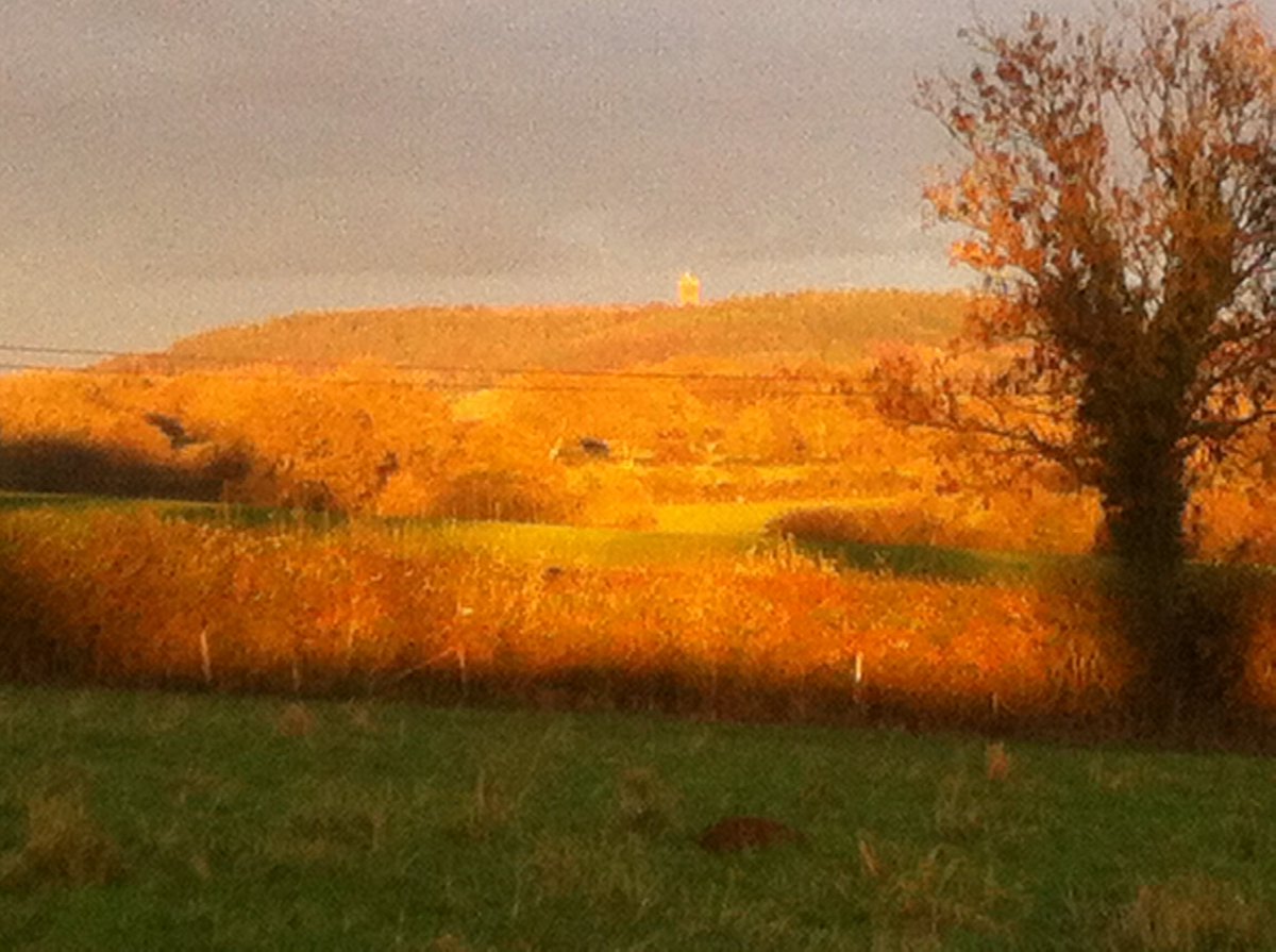 FarmStokehill's tweet photo. @TheFlowerFarmer Doesn’t properly feel like home until Alfred’s Tower comes into view? https://t.co/HWCxFMvO3y