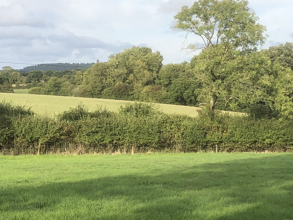 FarmStokehill's tweet photo. @TheFlowerFarmer Doesn’t properly feel like home until Alfred’s Tower comes into view? https://t.co/HWCxFMvO3y