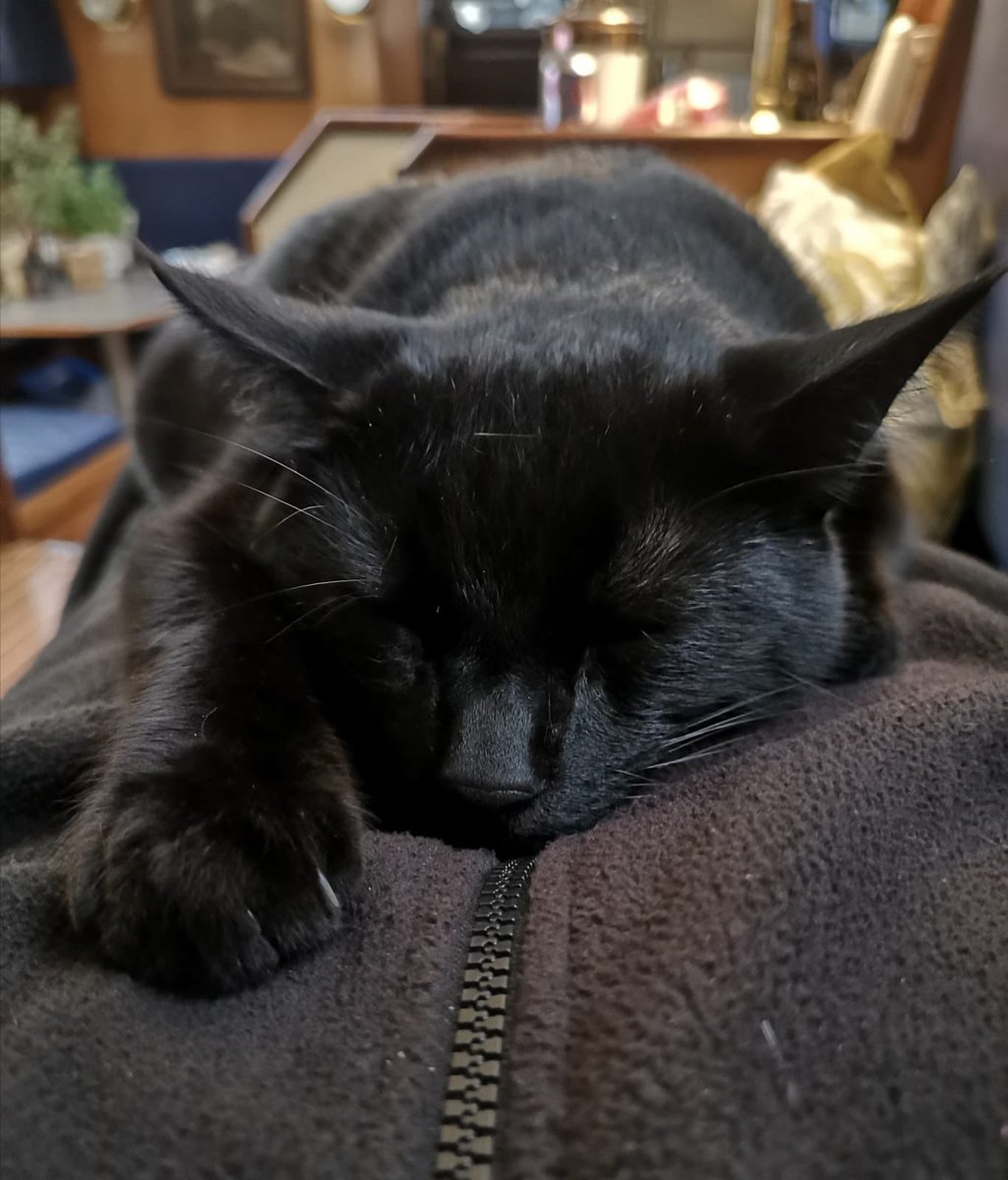 msgreeves's tweet photo. @TreasuryMog #GladdersBlackCats Prince George of Hampton and Sunbury with Daddy Dennis on board the Maria Theresa xx https://t.co/WolSOgMUf7