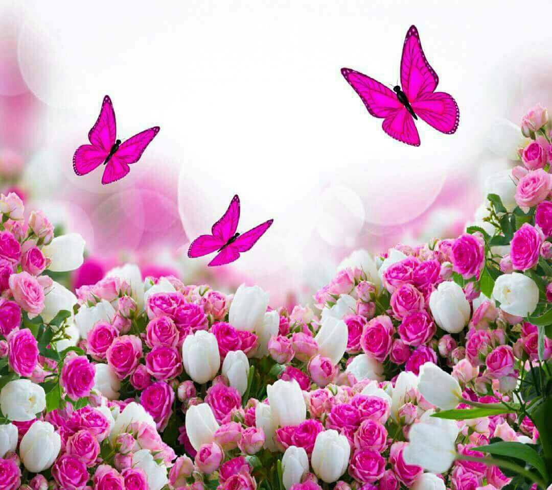 Ali_11ii's tweet photo. بكلمة نرتقي .. 
و بكلمة نمسح دمعة..
و بكلمة نرسم إبتسامة ..
 و بكلمة نصنع الأمل..
ليس كل شيء عظيم يترك أثر ..
 فالبساطة تصنع ذلك و أكثر 
  كن بسيطاً تكن أجمل .. https://t.co/ns1rReB46x