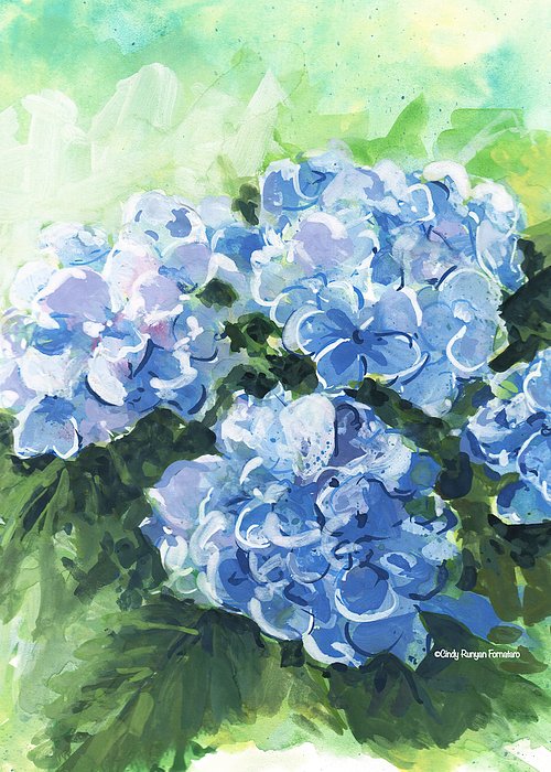 CinForna's tweet photo. New artwork for sale! - "Hydrangea Watercolor" - https://t.co/9lKkp0Zxpq @shoppixels https://t.co/eORJu26GfT
