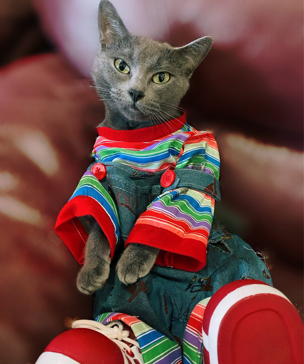 fishinggirl1122 tweet media