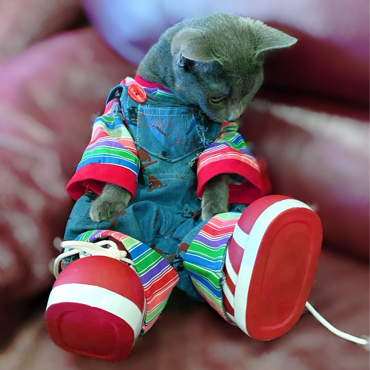 fishinggirl1122 tweet media