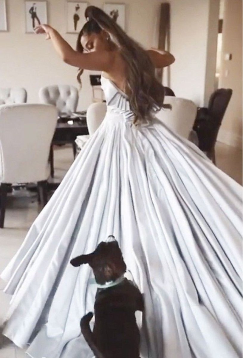safeforariana's tweet photo. our cinderella🤍 https://t.co/jWhqZRlPEn