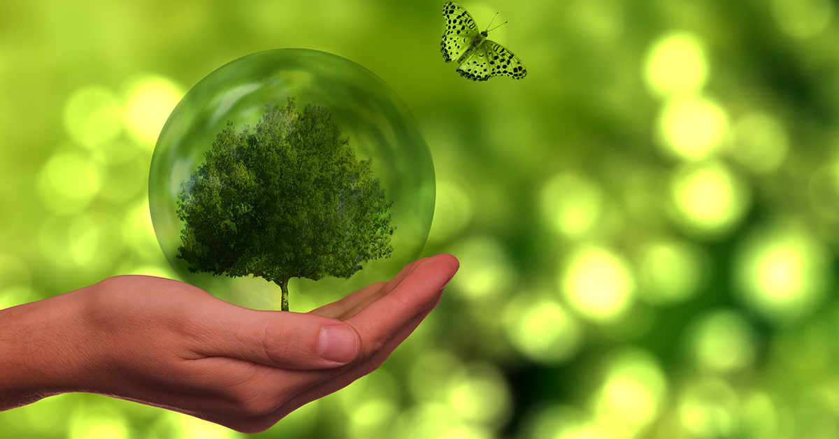 IFC es el líder en la #BancaSostenible en #Centroamérica. Cuatro de los 6 países centroamericanos son parte de la Red de Banca y Finanzas Sostenibles. Estamos un paso más hacia adoptar una banca responsable, ética y sostenible 🌱. Conoce más aquí: wrld.bg/mi6x50GwIkP