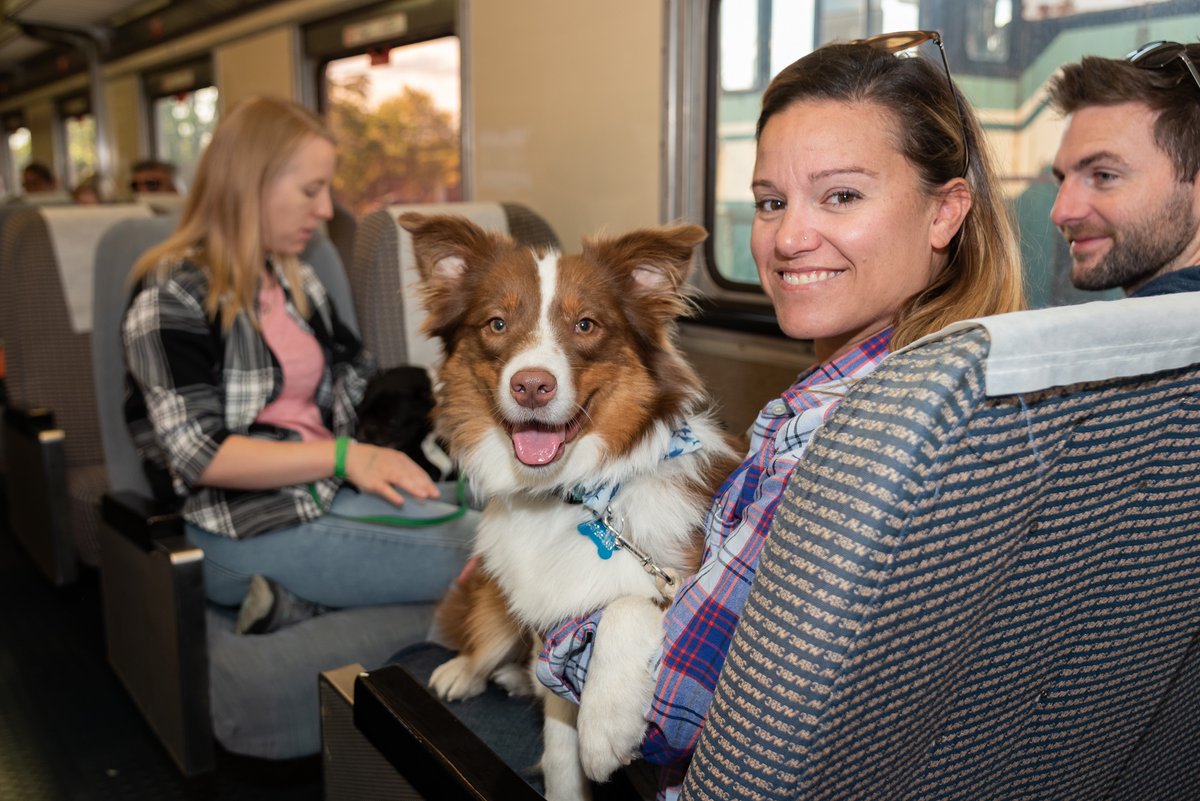 nat_railroad's tweet photo. Bring your dog to the B&amp;O on Sun, Oct. 31 to enjoy a train ride, puppy playdate, doggie costume contest &amp; more! Plus, owners can unwind with beer and wine and happy hour, and we'll be joined by Maryland K9 Training for dog training demos. Get your tickets: https://t.co/oGyD69PI4I https://t.co/pBSlDlMfDh