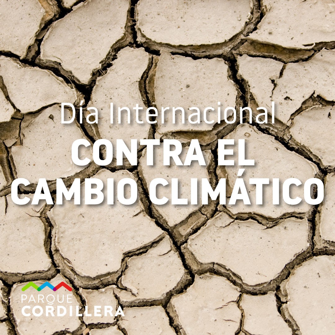 E cambio climático es un problema importante hoy en día. Los invitamos a seguir compartiendo junto a nosotros el cuidado, la preservación y conservación de la naturaleza a través de las distintas acciones que realizan día a día y nosotros también como Parque Cordillera.