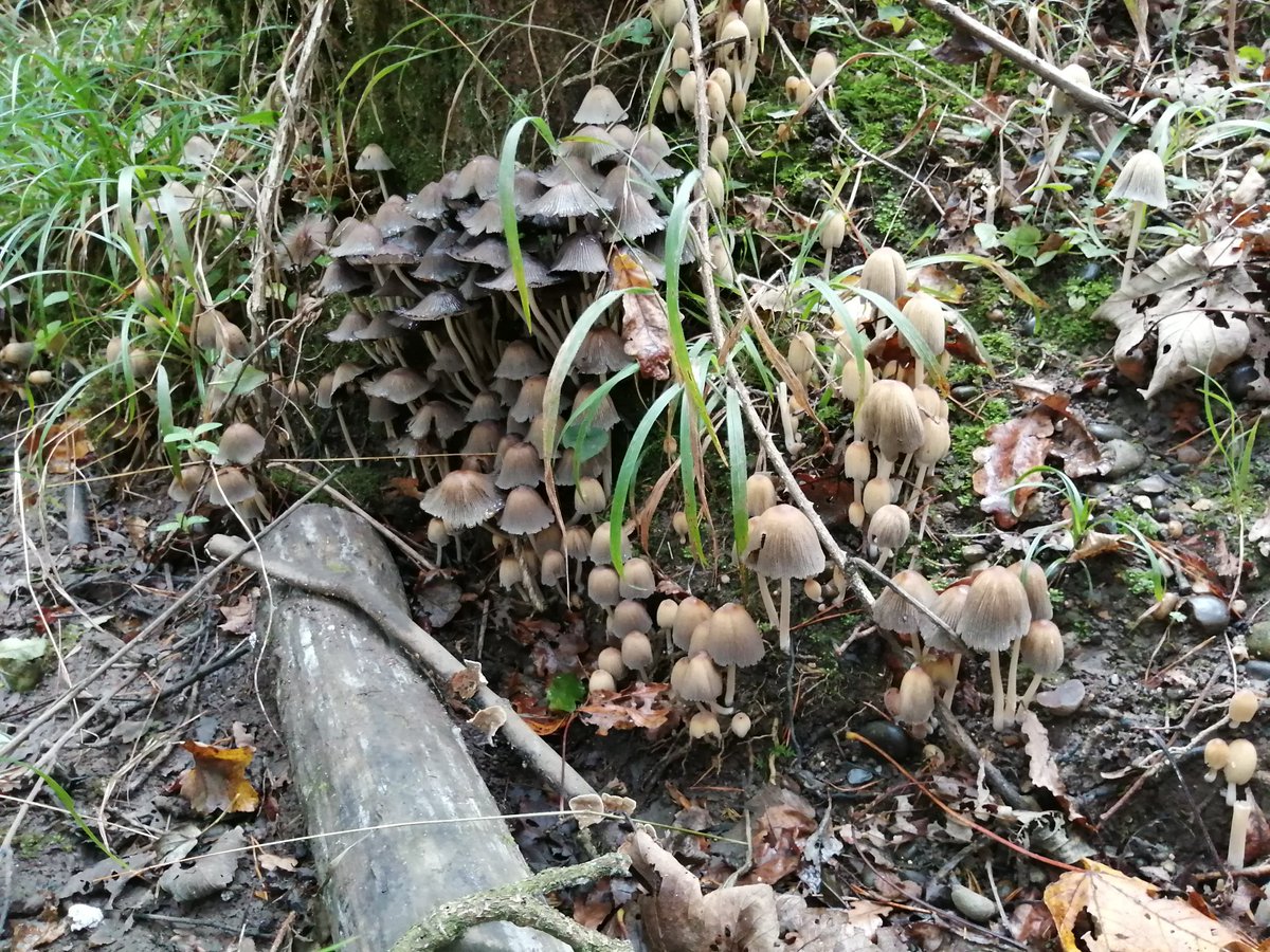 sam clift tweet media