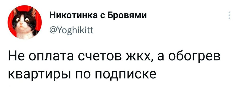 Лепра (@leprasorium) on Twitter photo 