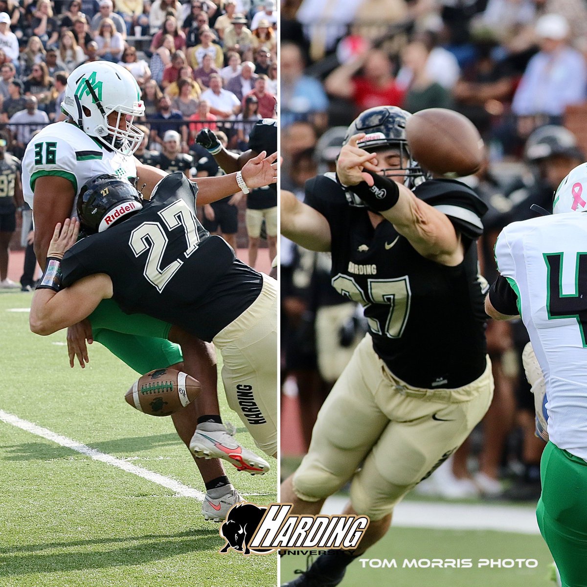 Tom Morris tweet media