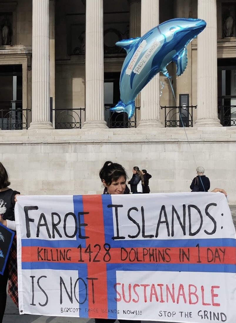 LindsjoLotta's tweet image. 🇫🇴🩸🇫🇴🩸🇫🇴🩸🇫🇴🩸🇫🇴
#Grindadrap #BoycottBakkafrost #BoycottHiddenfjord #BoycottMarineHarvest #BoycottFaroeIslands #StopTheGrind #BoycottFaroeIslandsSalmon #BoycottFaroeIslandsFish