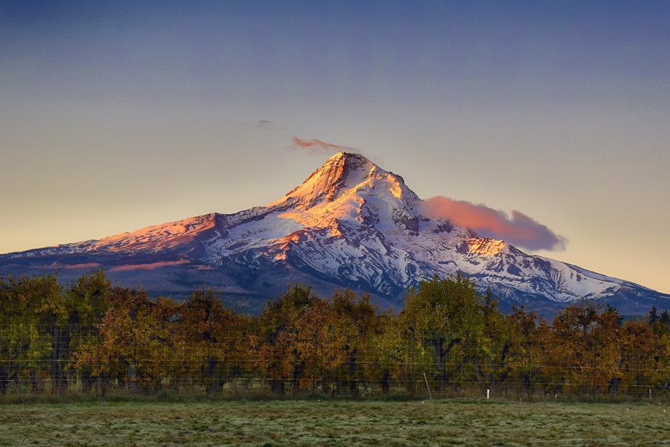 Forest Service NW tweet media
