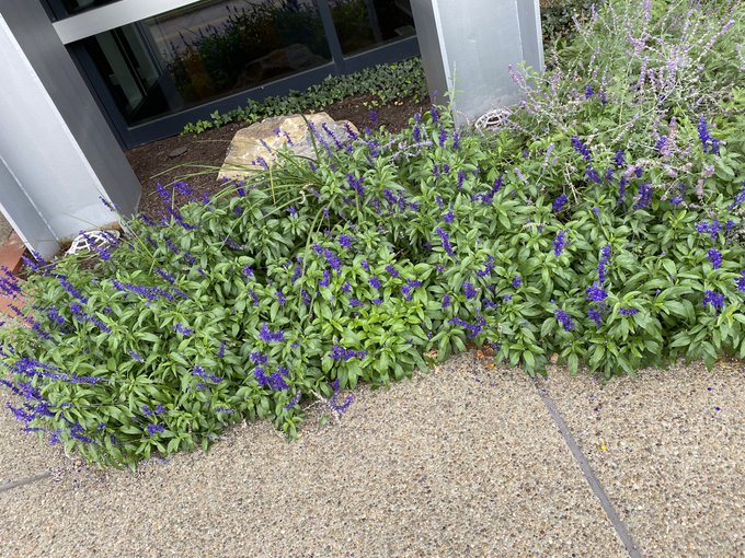 I had the biggest urge to gather these @playnewworld https://t.co/3TOur9xt4n<a class="tags" target="_blank" title="On Twitter" href="/?out=eyJ0eXAiOiJKV1QiLCJhbGciOiJIUzUxMiJ9.eyJpYXQiOjE3MjYyODQzOTYsImlzcyI6InR3cG9ybnN0YXJzLmNvbSIsIm5iZiI6MTcyNjI4NDM5NiwiZXhwIjoxNzU3ODIwMzk2LCJyZWRpcmVjdF91cmwiOiJodHRwczovL3R3aXR0ZXIuY29tL3BsYXluZXd3b3JsZCJ9.AJZogdbCbshmxtauLOI0vZKvnSQg_jz9Qtz6Pq7gepU6Yjkt1yVXXHdJK9NIk8k39603LSg6d1vX4FEREQMhXQ">@playnewworld</a><a href="/tag/bakawonderlan"class="tags"><span>#bakawonderlan</span></a>