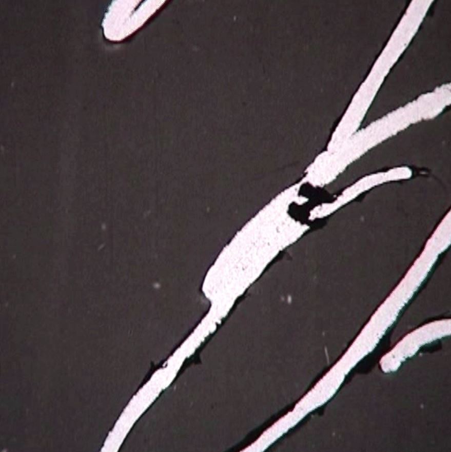 CryptoW60774544's tweet photo. New NFT gif collection. Film Dust NFT. This is a real digitized 35 mm film from the beginning of the 20th century. #nft https://t.co/pY5LMSl94r https://t.co/h8inXebVMg