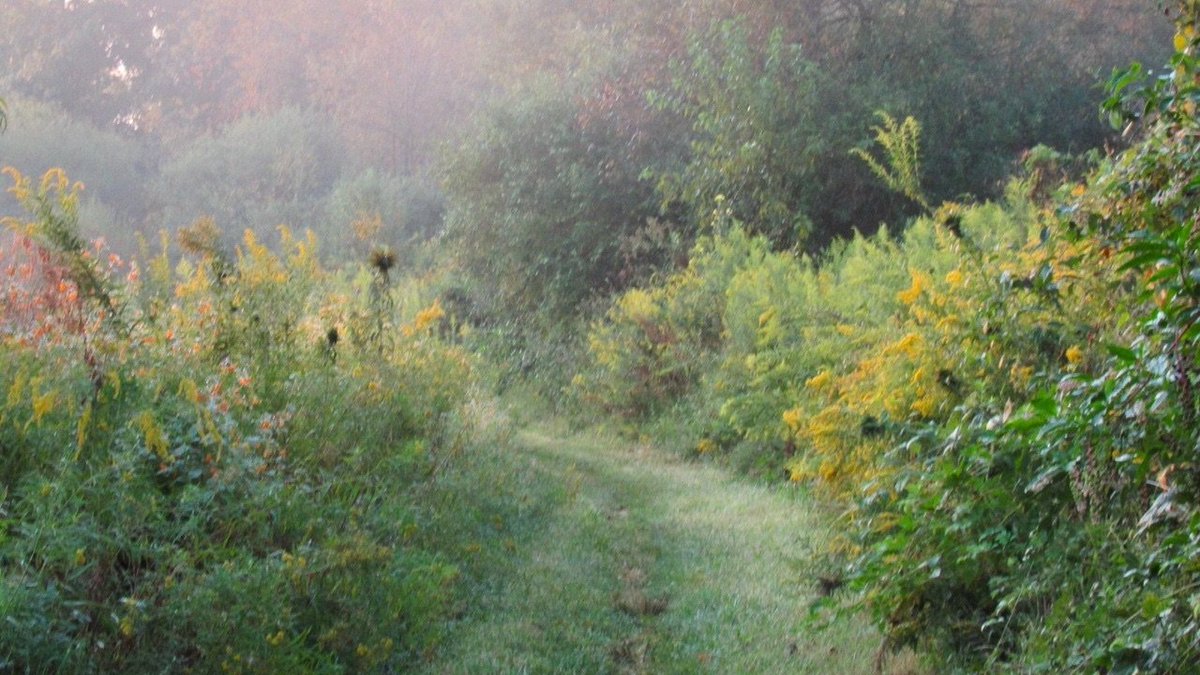 orien (@ladyoforien) on Twitter photo 