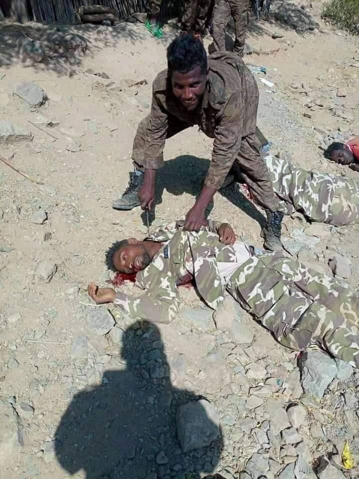 edugaltigray's tweet photo. ኣቤት ግፍዒ ኣብ ልዕሊ ተጋሩ💔
====================
👉ንሶም ዝብሉ ዘለዉ ሙሩካት ረሺና እንዳበሉ ከታሉሉና ኮለል 
እንተበሉ ዋላ ሙሩካት ይኩኑ ሙሩክ ረሺን ዝብል ሕጊ ዓለም የለን #StopGenocide https://t.co/miXgxMiMwj