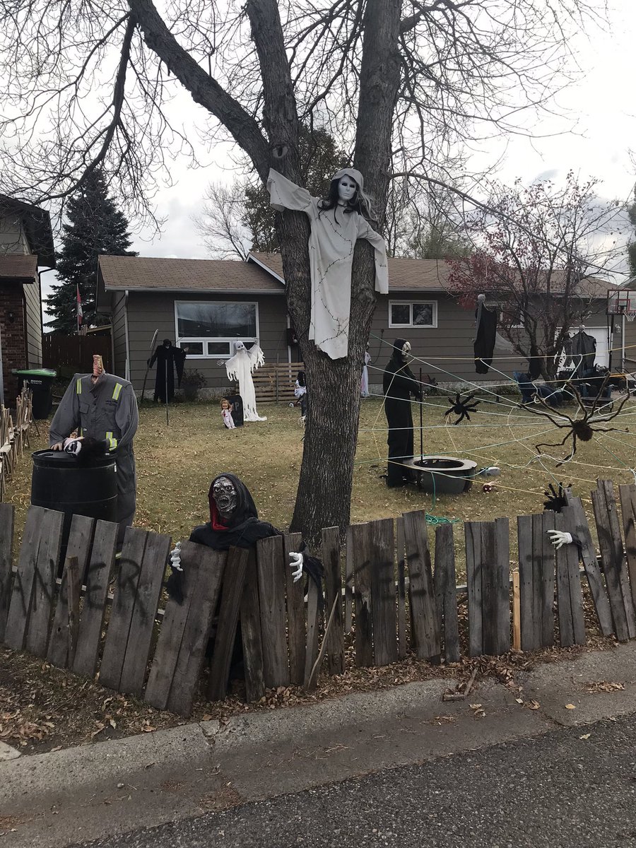 Tim Newman tweet media