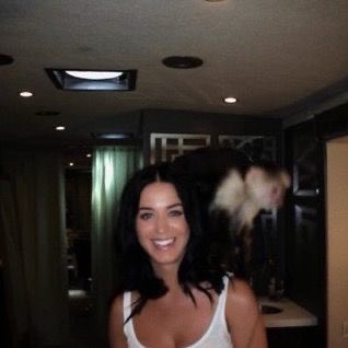 elysiantapes's tweet photo. happy birthday @katyperry
the katycats love you endlessly! thanks for saving my life<3 https://t.co/hM8n3q8kRZ