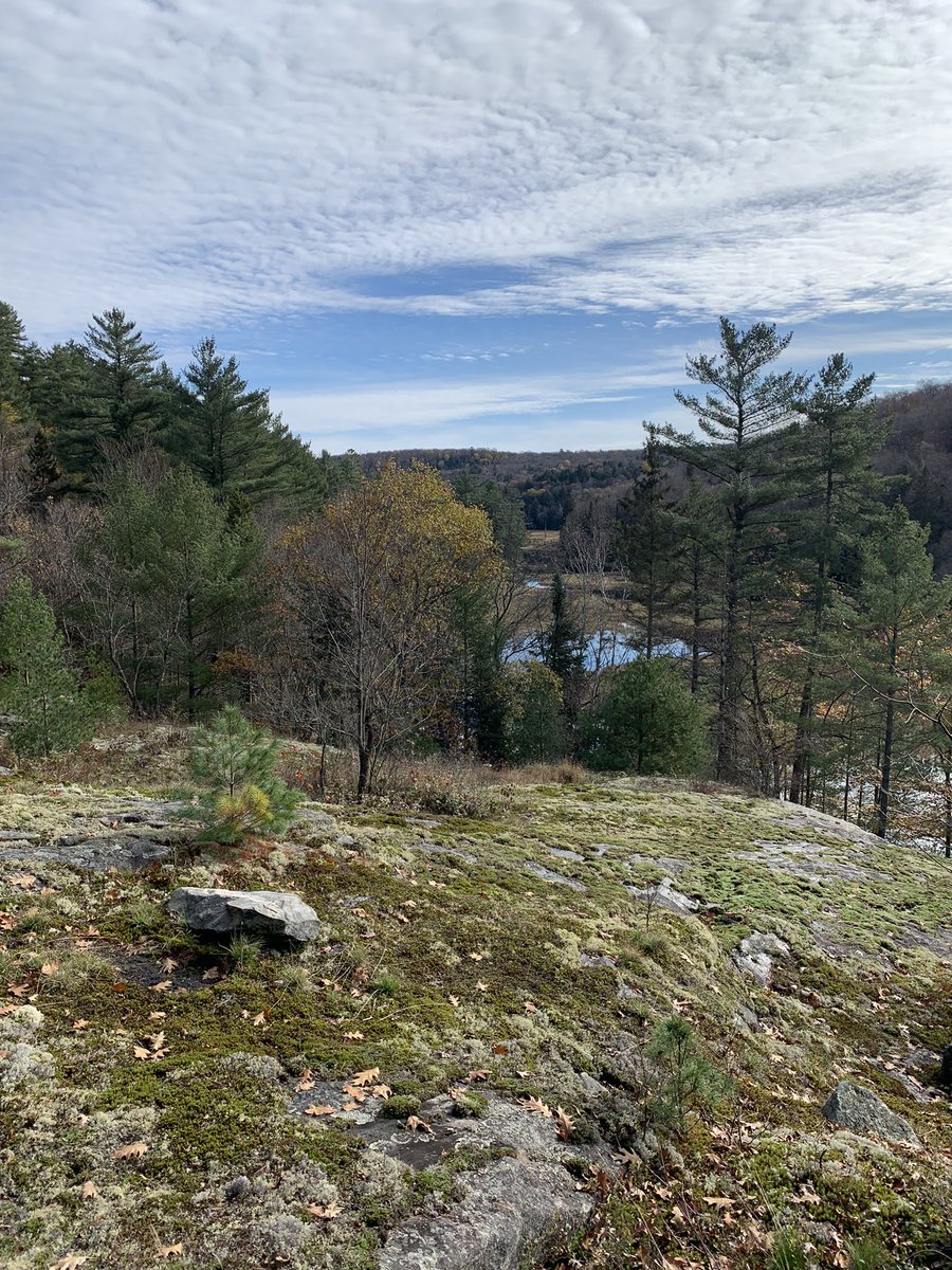 Andrea Borysiuk tweet media