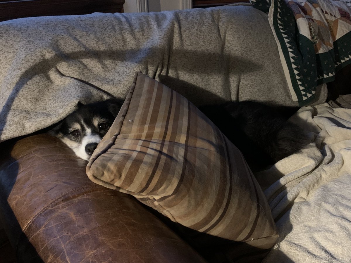 Andrea Borysiuk tweet media