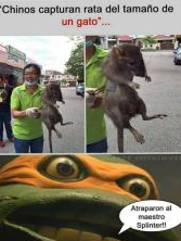 snekerr_'s tweet photo. @OOC_Momo ni mas tweets https://t.co/jORTl1uf6q