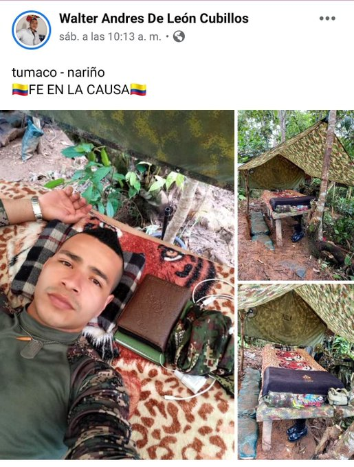 Perroacuadros's tweet photo. "¡Dónde duerme uno, duermen dos!". Otoniel. https://t.co/MU5lK9hky1