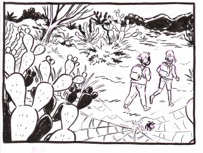 Here are a few of my favorite recent panels 👀 🌵 🌟 