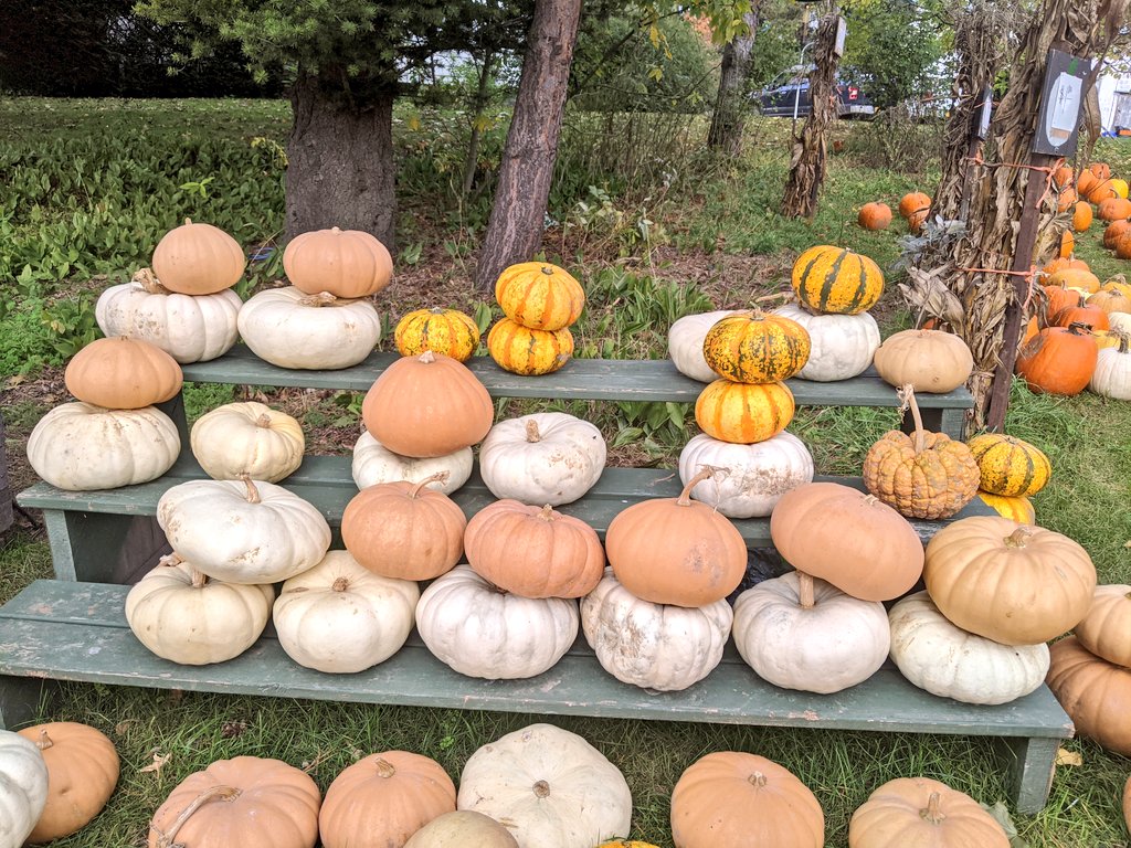 Brian Bushart 🏳️🌈 tweet media