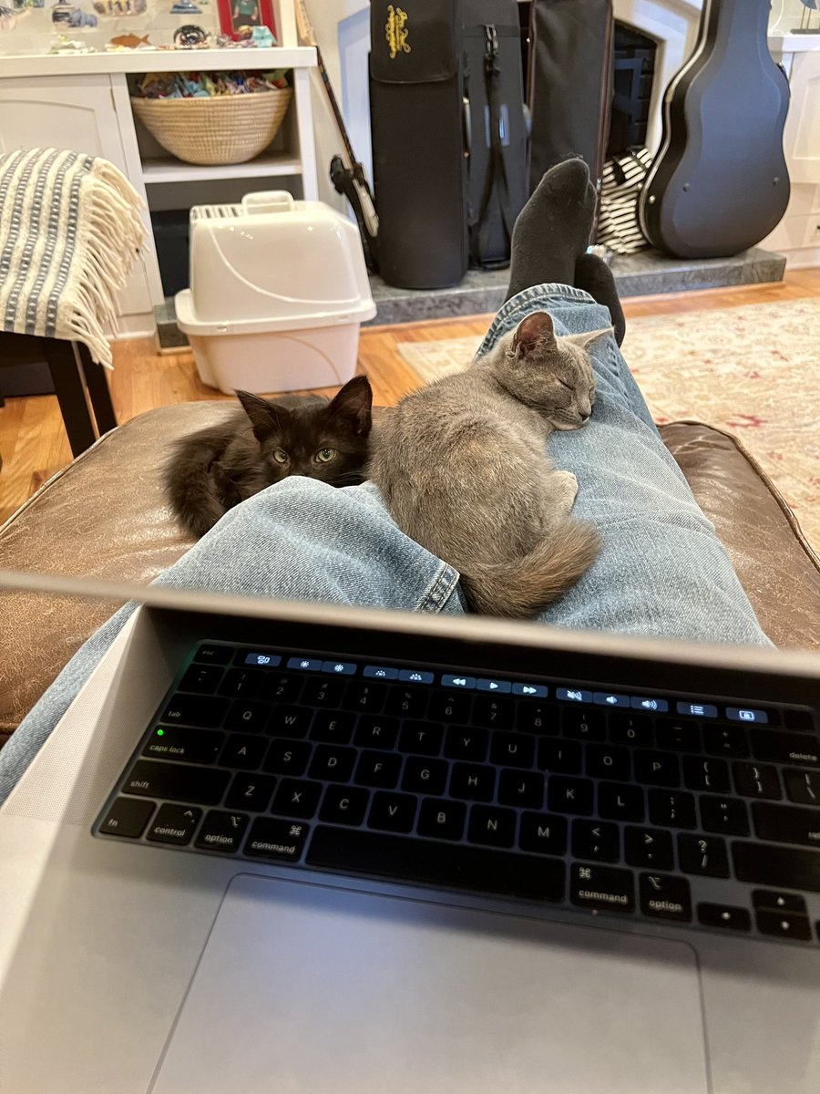 Cory Scott tweet media