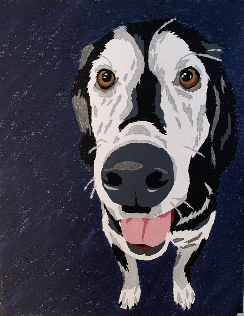 ExpressivelyU's tweet photo. I love getting testimonies like this “Lindsey, just wanted you to see how fantastic the portrait came out of Zenith that you sent to Lars. It's perfect!!!! She was hesitant to do it because she thought she'd mess up but I told her that your attention to detail was exquisite!” https://t.co/8EitxZh0de