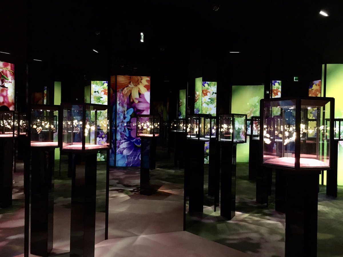 Guiguiii94's tweet photo. Jusqu’au 14 nov, @vancleefarpels propose une très belle #expo gratuite à l’hôtel d’Évreux (place Vendôme), associant une centaine de pièces patrimoniales et les photographies de fleurs de Mika Ninagawa, le tout dans une scénographie immersive, chic et kaléidoscopique ! #Florae https://t.co/eI9Y4t6wpq