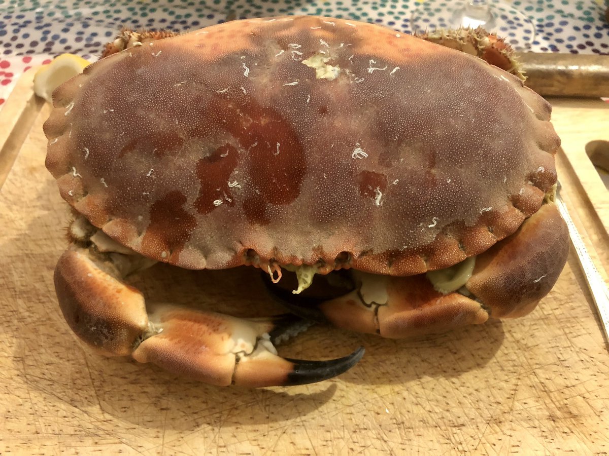 Tom Waterton tweet media