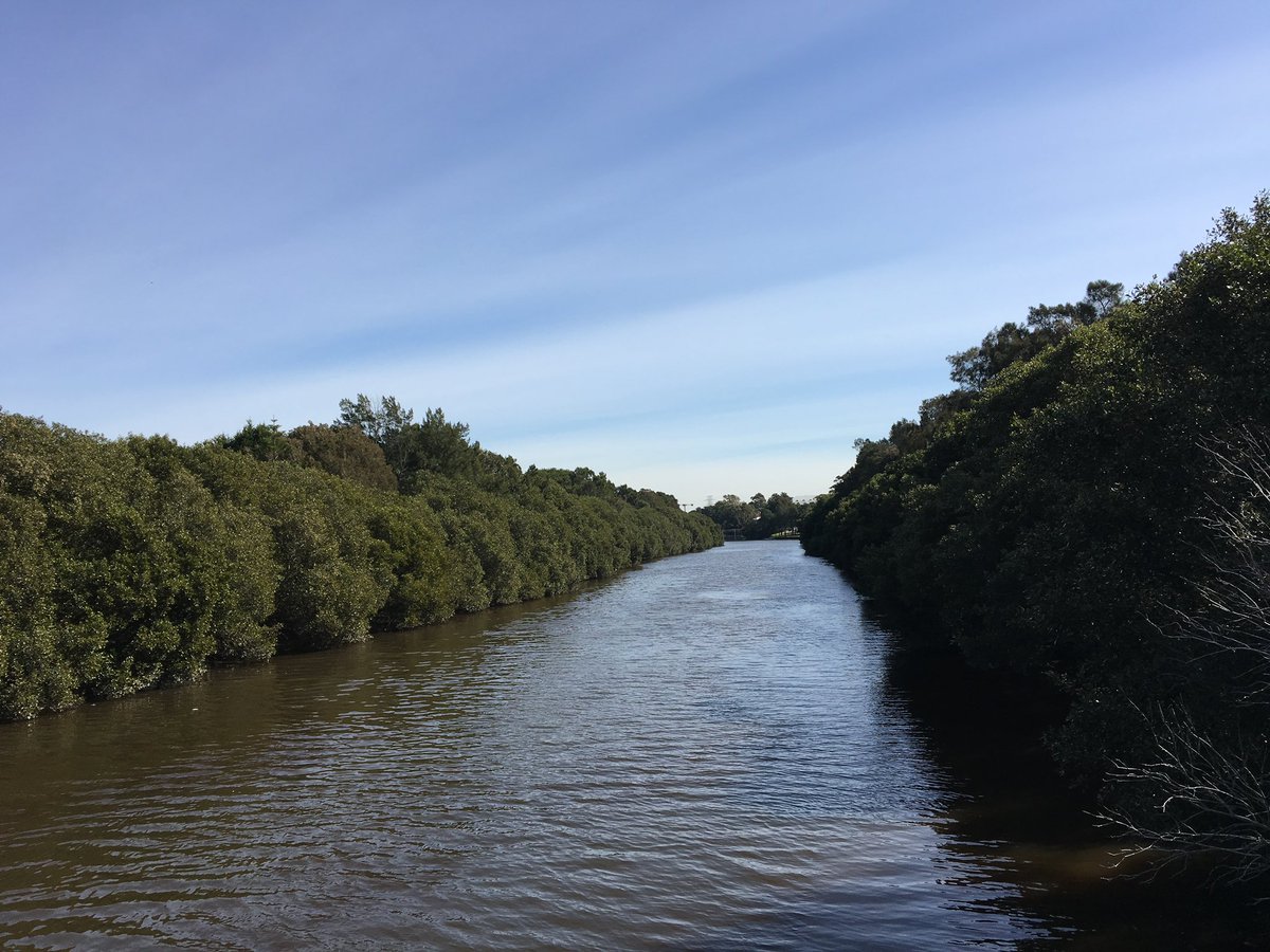 Carly_Cheung1's tweet photo. After coming across an article about having a social media detox, I decided to take a stroll at the Cooks River yesterday and felt much more productive. Although technology is incredibly useful. Sometimes a break is needed #HSBH2009 #eHealth 

https://t.co/7ksFwWt0N2 https://t.co/QQfvzcZi7R