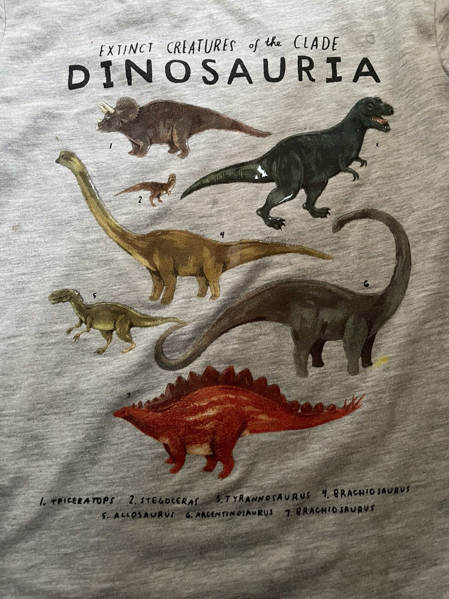 hilz4's tweet photo. @hmunitedkingdom my poor son was devastated his dinosaur top from H&amp;M was so wrong! Learn your dinosaurs. #knowledge #dinosaurmad https://t.co/o87WNiqN02